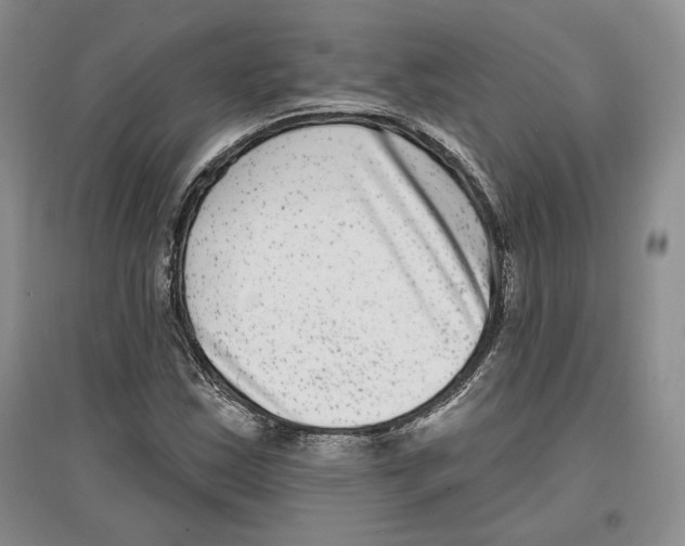 X0000097291163200803141504