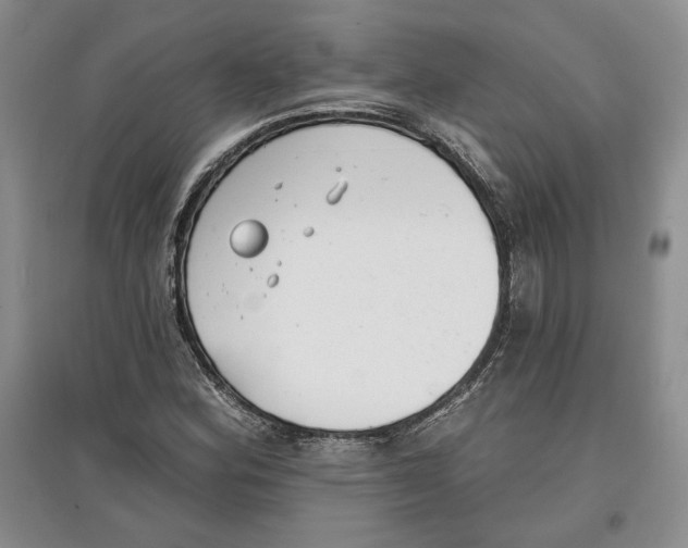 X0000097291164200803141504