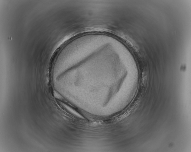 X0000097291165200803141504