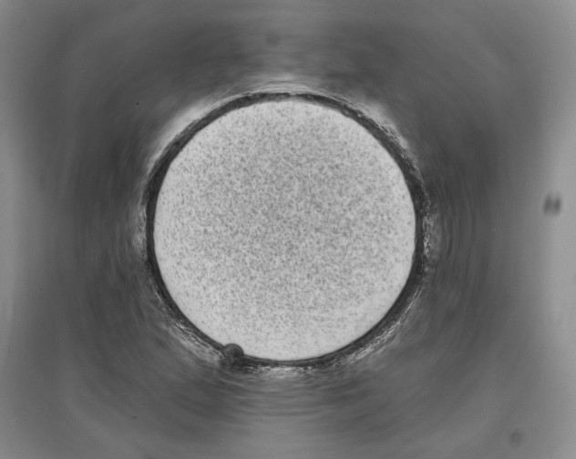 X0000097291167200803141504