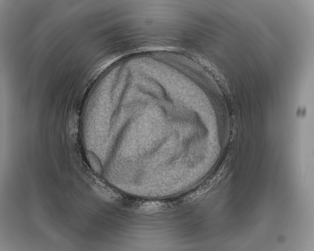 X0000097291169200803141504