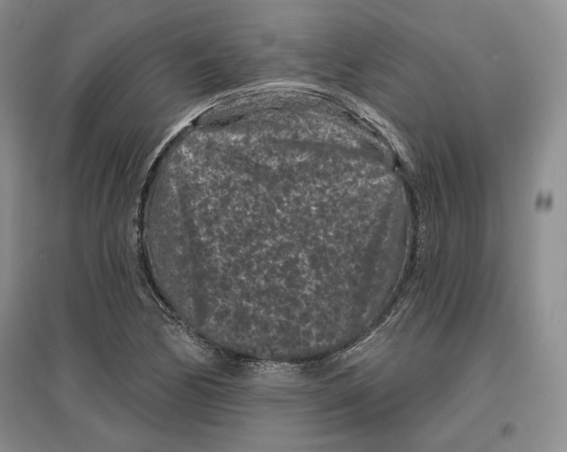 X0000097291170200803141504