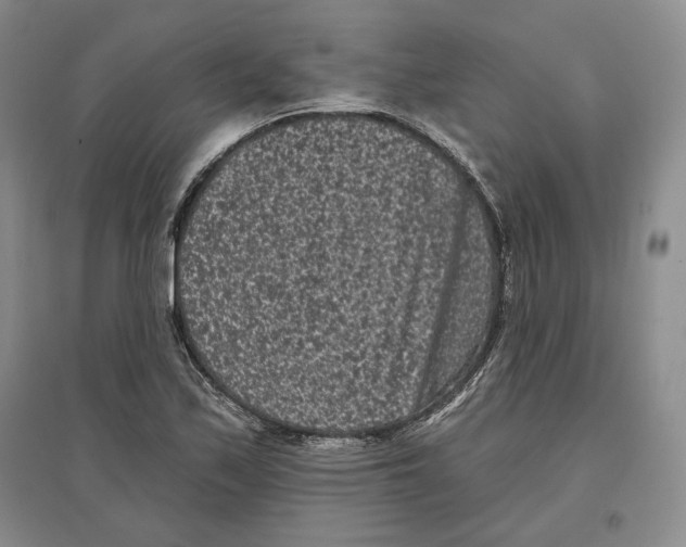 X0000097291171200803141504