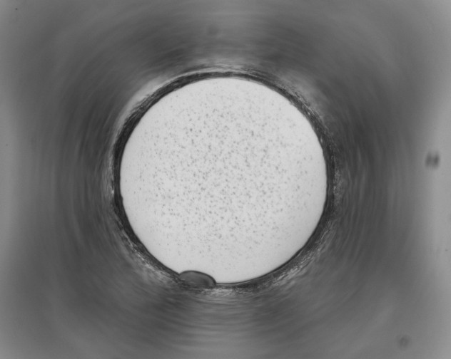 X0000097291172200803141504