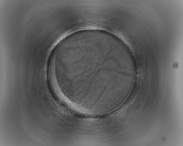 X0000097291173200803141504