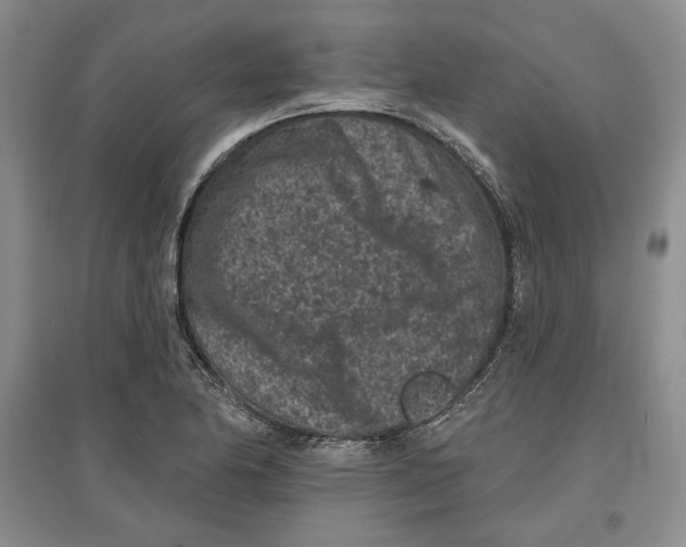 X0000097291174200803141504