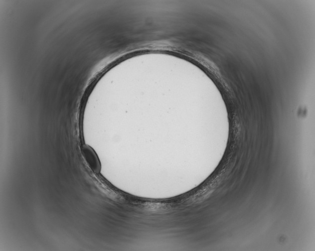 X0000097291176200803141504