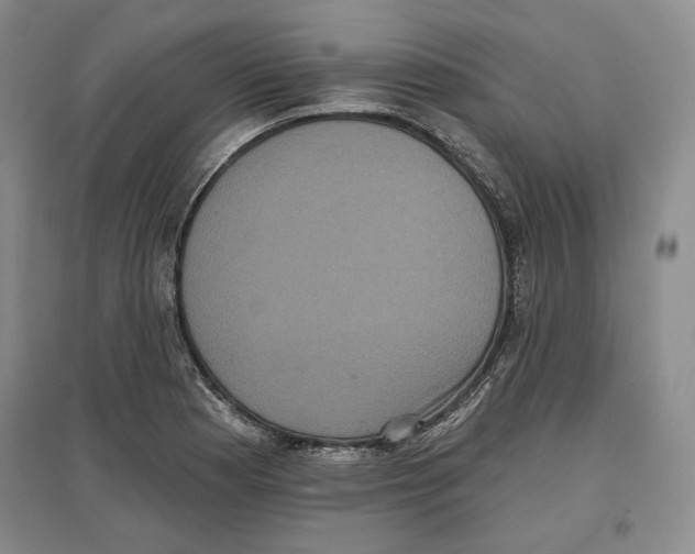 X0000097291177200803141504