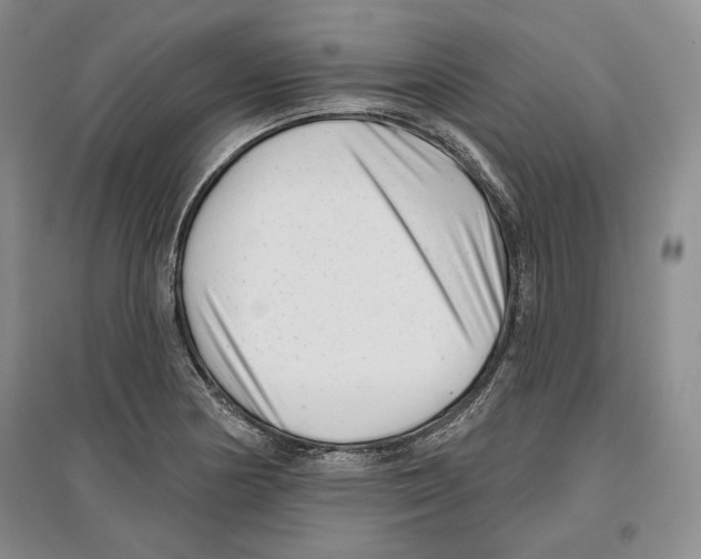 X0000097291178200803141503