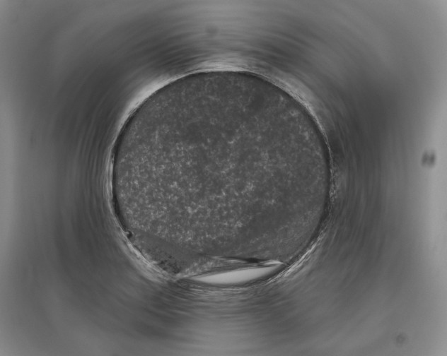 X0000097291179200803141503