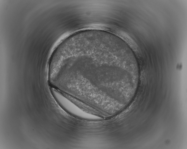 X0000097291180200803141503