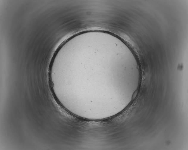 X0000097291181200803141503