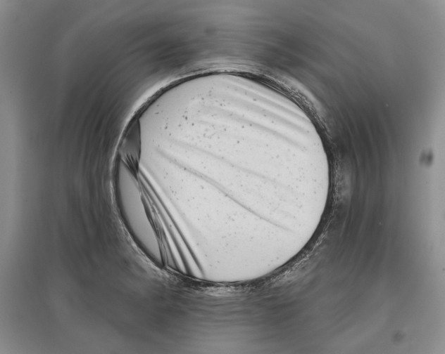 X0000097291182200803141503