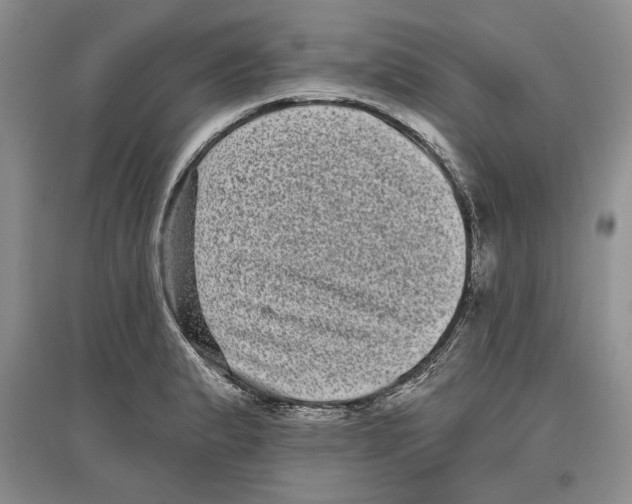 X0000097291183200803141503