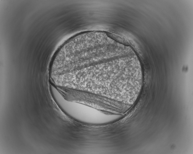 X0000097291184200803141503