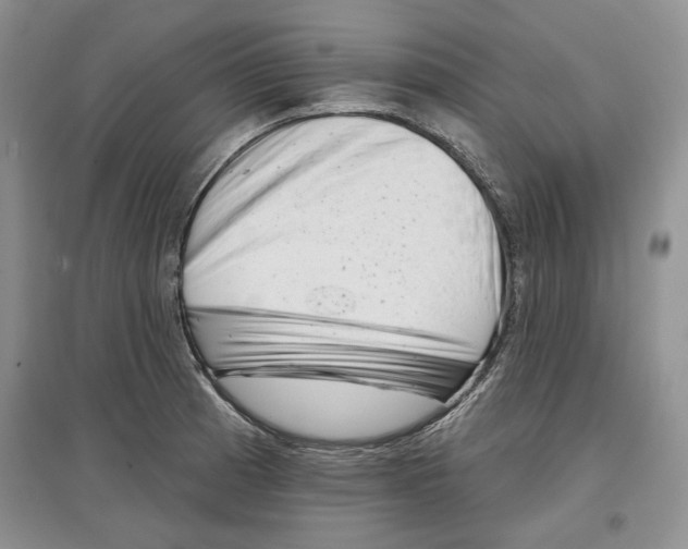 X0000097291185200803141503