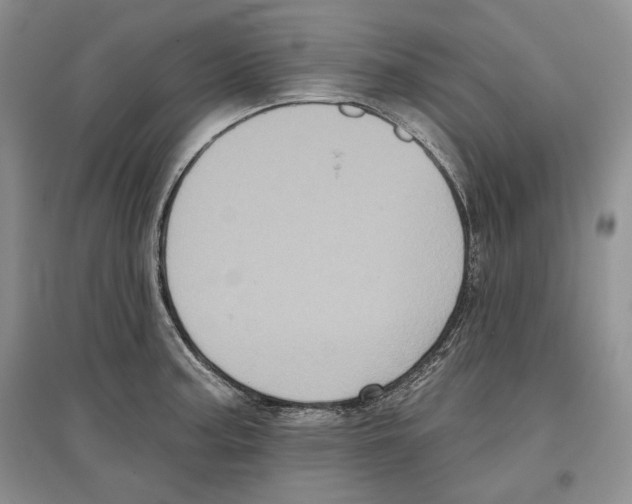 X0000097291187200803141503