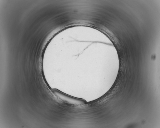 X0000097291188200803141503