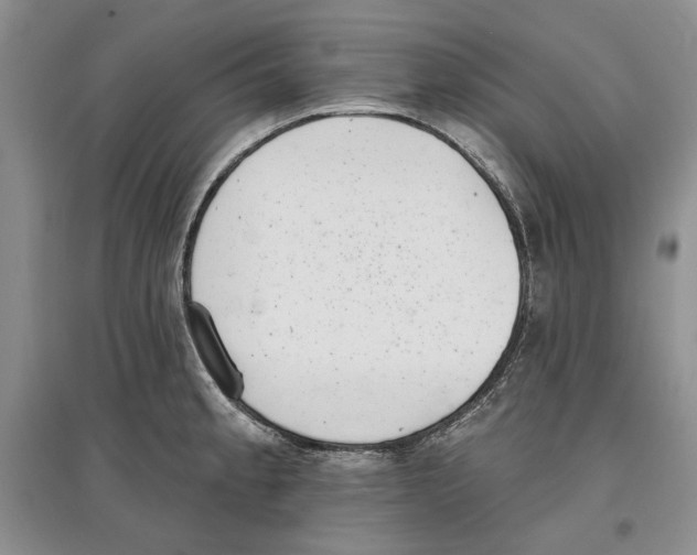 X0000097291189200803141503