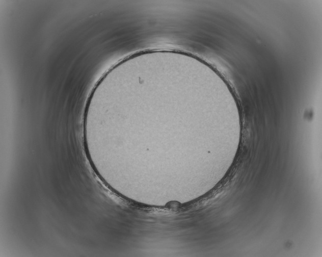 X0000097291191200803141503