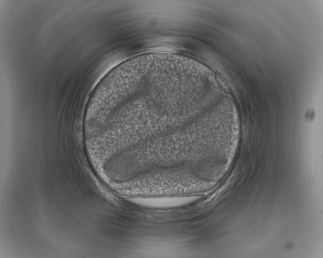 X0000097291194200803141503