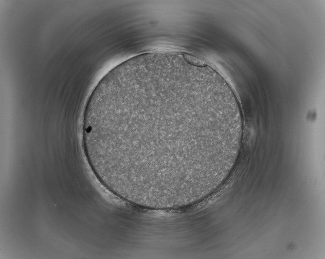 X0000097291195200803141503