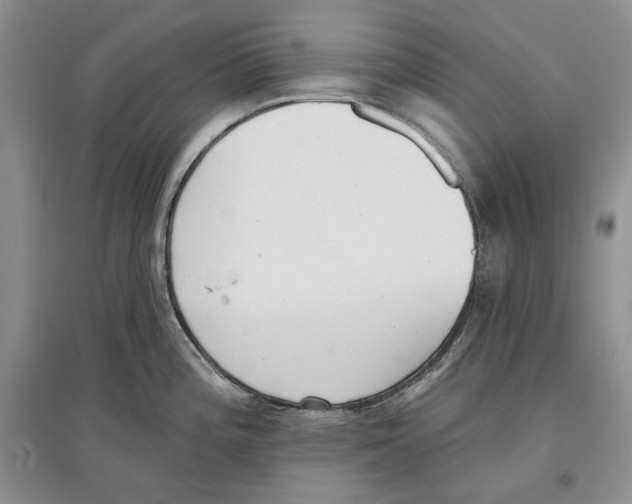 X0000097291196200803141503