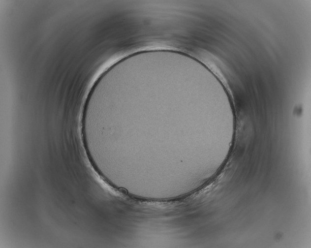 X0000097291197200803141503