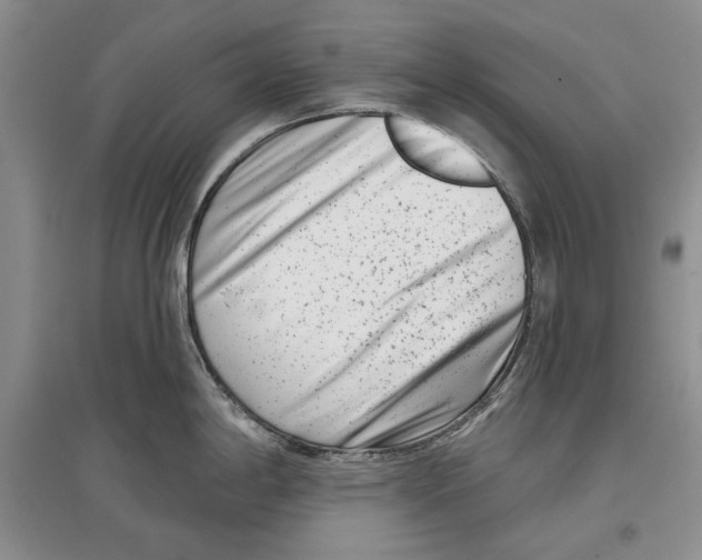 X0000097291198200803141503