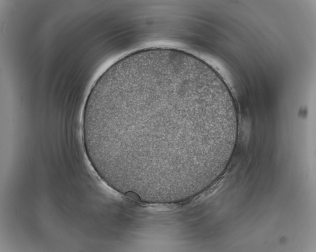 X0000097291199200803141503