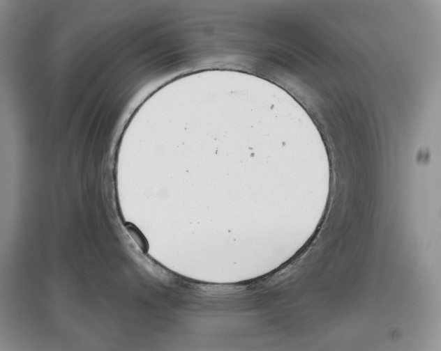 X0000097291200200803141503