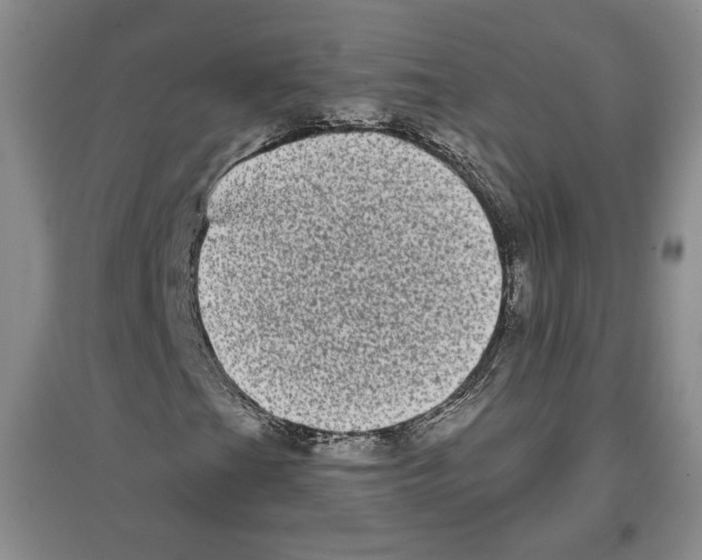 X0000097291201200803141503