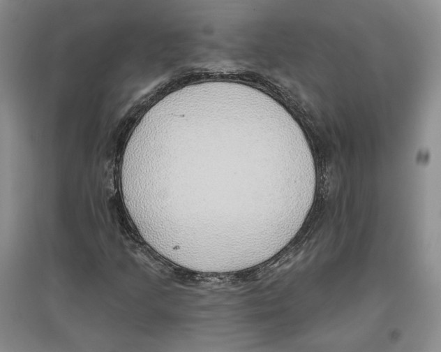 X0000097291205200803141503