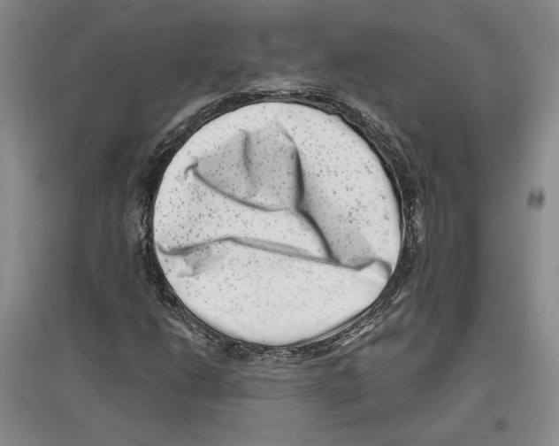 X0000097291206200803141503