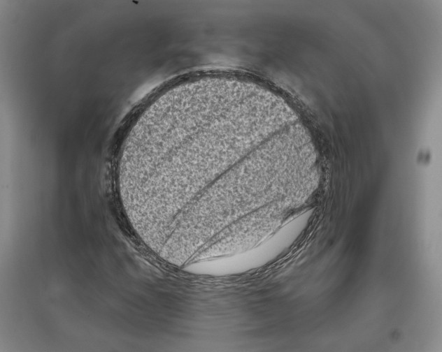 X0000097291208200803141503