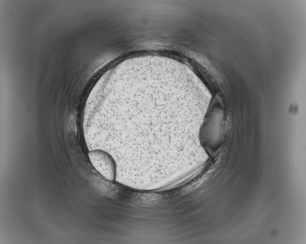 X0000097291209200803141503