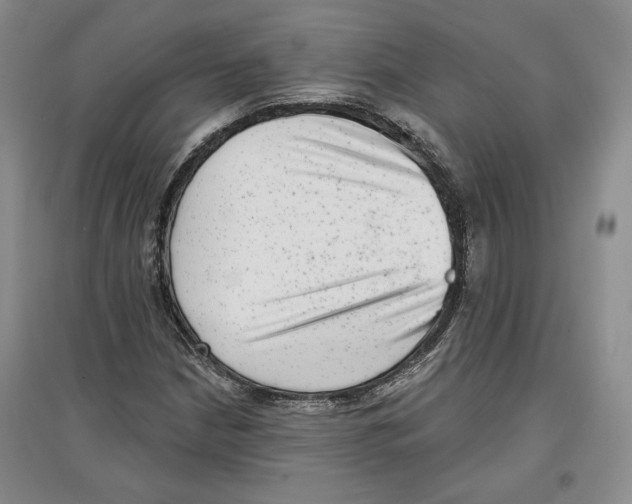 X0000097291210200803141503