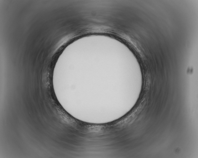 X0000097291211200803141503