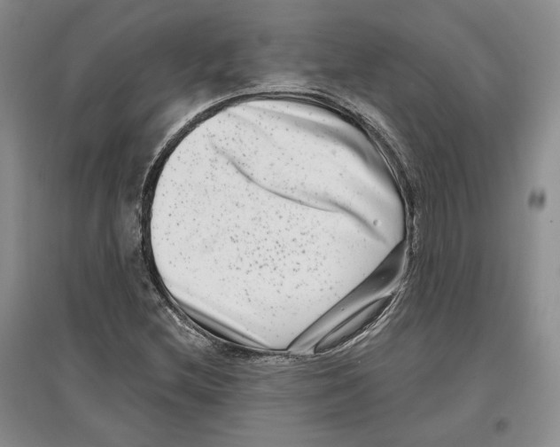 X0000097291212200803141503