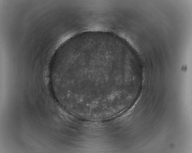 X0000097291213200803141503