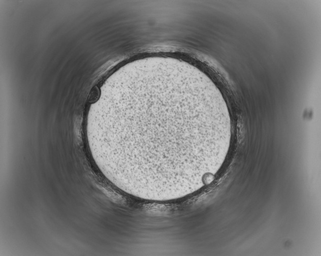 X0000097291217200803141503