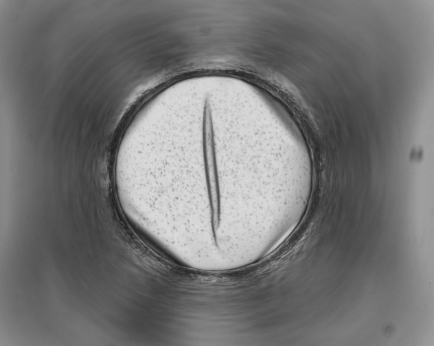 X0000097291218200803141503