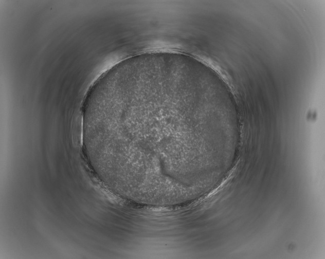 X0000097291219200803141503