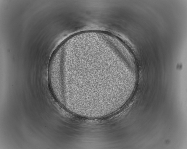 X0000097291220200803141503