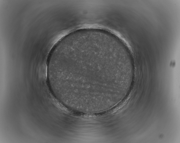 X0000097291221200803141503