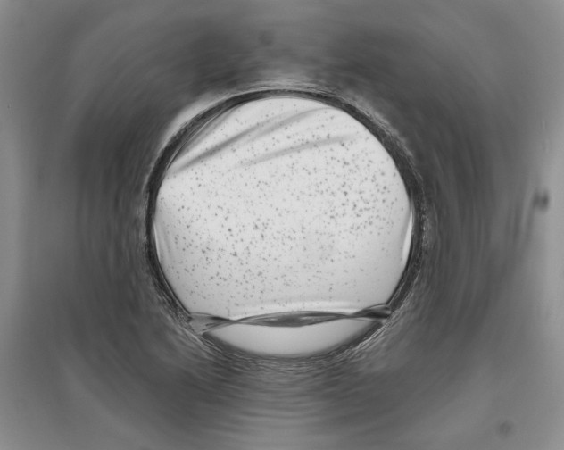 X0000097291222200803141503