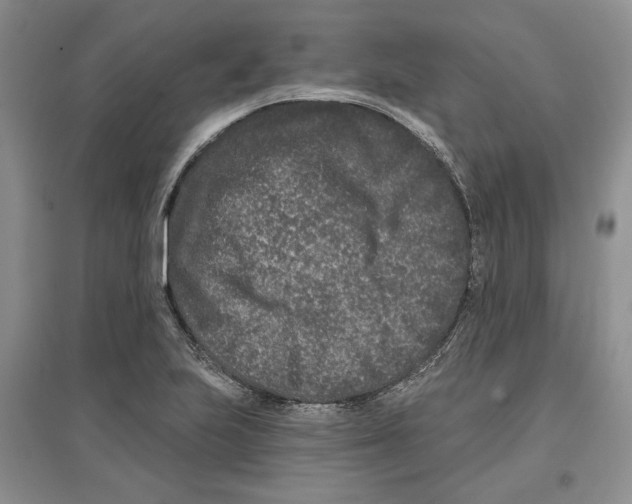 X0000097291223200803141503