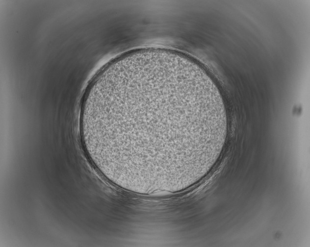 X0000097291224200803141503