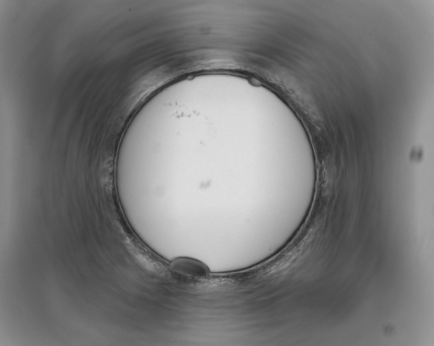 X0000097291225200803141503