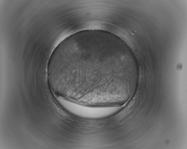 X0000097291226200803141503